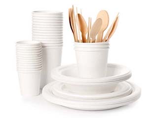 Disposable dishes