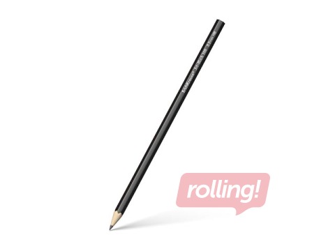 Graphite hexagonal pencil ErichKrause Jet Black 100, HB