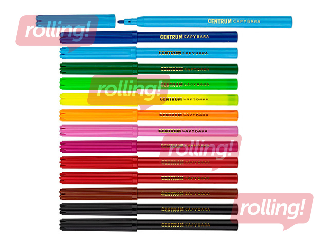 Markers Centrum CAPYBARA, 12 colors