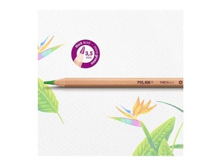 Värvilised pliiatsid Milan, 24 värvi, lead, 3.5mm