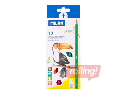 Coloured pencils Milan 12 colours
