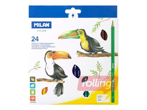 Coloured pencils Milan 24 colours