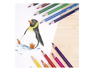 Värvipliiatsid Milan, kolmnurkne, 18 värvi