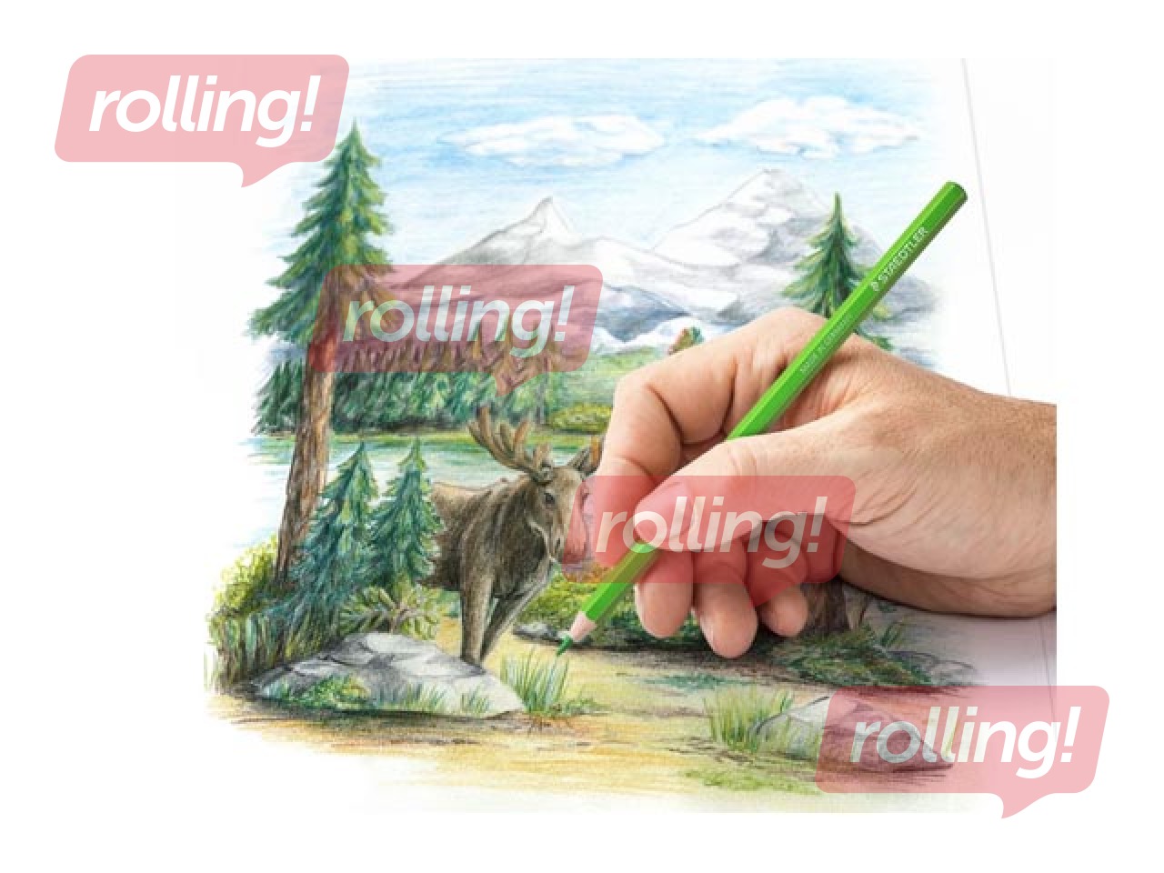 Värvipliiatsid Staedtler 146C, 12 tk.