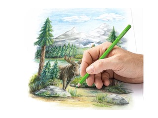 Värvipliiatsid Staedtler 146C, 24 tk.