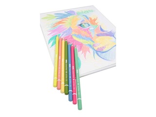 Цветные карандаши Astra, пастельные оттенки, 50 шт.