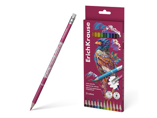 Kustutuskummiga värvipliiatsid ErichKrause, Safari, 12 värvi