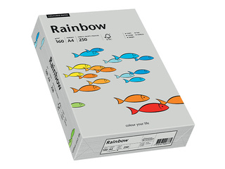 Paber Rainbow 96, A4, 160g/m2, 250 lehte, hall