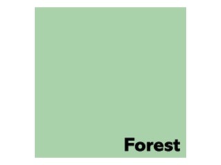 Koopiapaber Image Coloraction, A4, Forest/Pastellroheline, 160g/m², 250 lehte