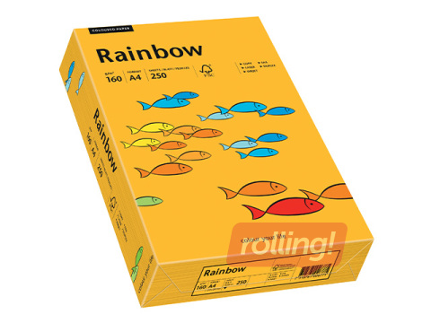 Бумага Rainbow 22, A4, 160г/м2, 250 листов, светло-оранжевая