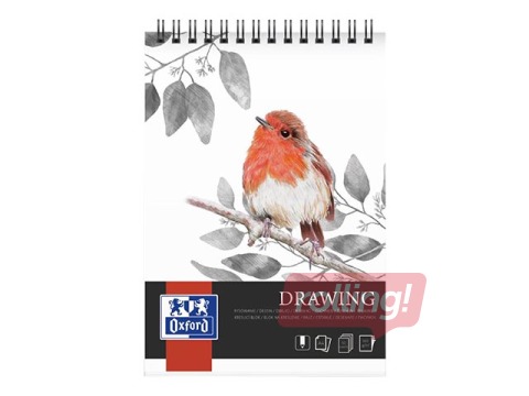 Joonistusplokk Oxford Artistic värvipliiatsitega joonistamiseks, A4, 160g/m², 50 lehte