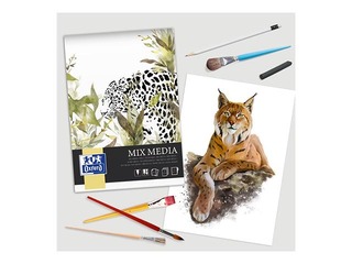 Joonistusplokk Oxford, A4, 225g/m², 25 lehte