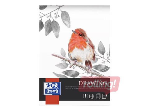 Joonistusplokk Oxford Artistic värvipliiatsiga joonistamiseks, A4, 160g/m², 40 lehte
