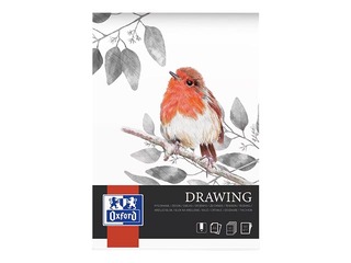 Joonistusplokk Oxford Artistic värvipliiatsiga joonistamiseks, A4, 160g/m², 40 lehte