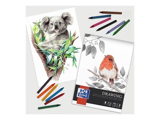 Joonistusplokk Oxford Artistic värvipliiatsiga joonistamiseks, A4, 160g/m², 40 lehte