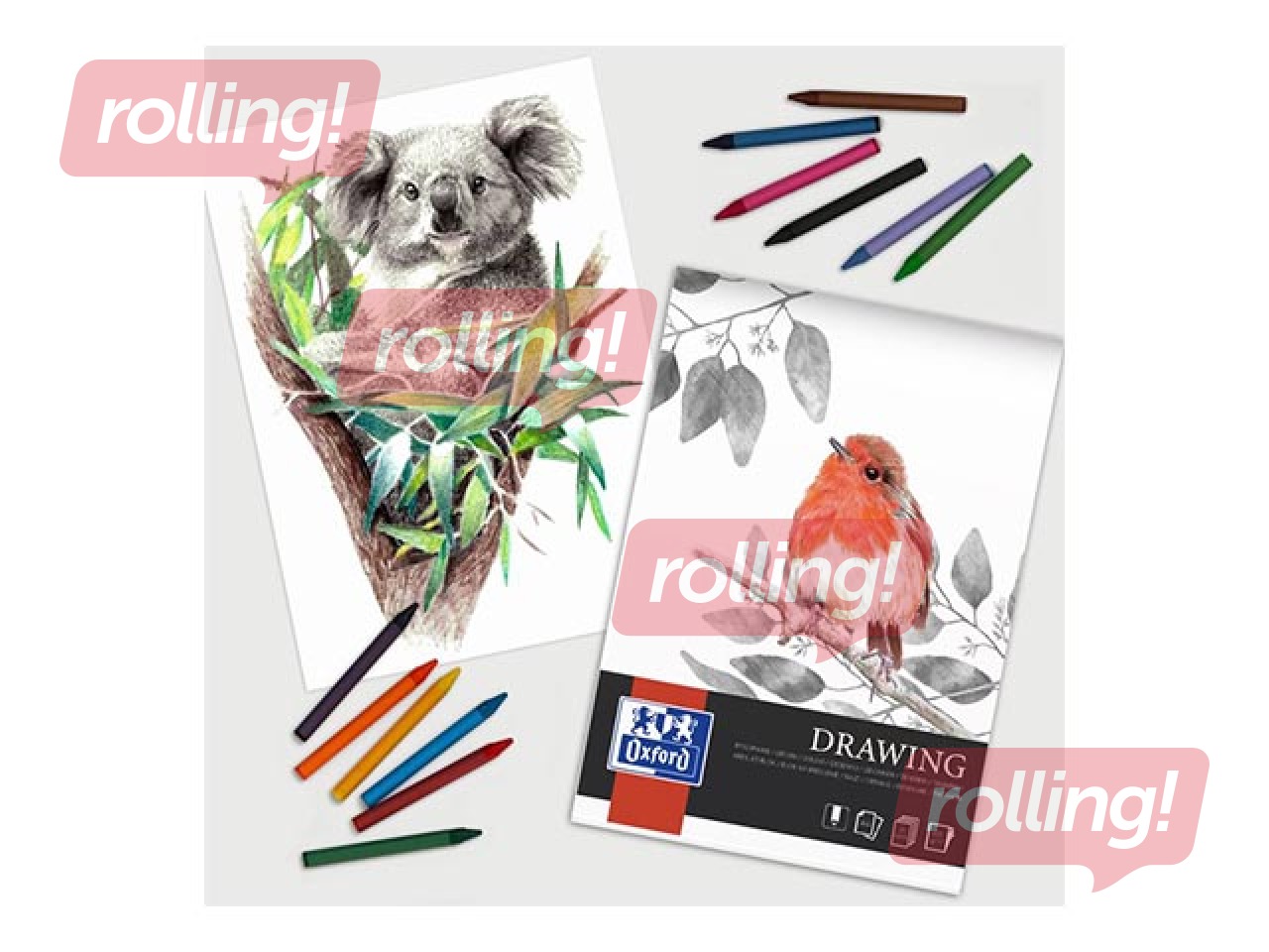 Joonistusplokk Oxford Artistic värvipliiatsiga joonistamiseks, A4, 160g/m², 40 lehte