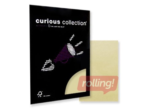 Disainpaber Curious poolläbikumav, A4, elevandiluu, 100g/m², 50 lehte