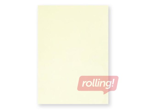Decorative paper Millenium cream A4,100 g/m2, 50 pcs/pack