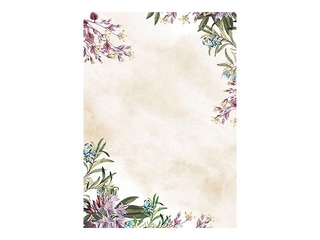 Design paper Umbria, A4, 100g/m², 50 sheets