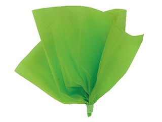 Zīdpapīrs dekoratīvais Vert Sapin 5, 18g/m², 50x75cm, 24 loksnes