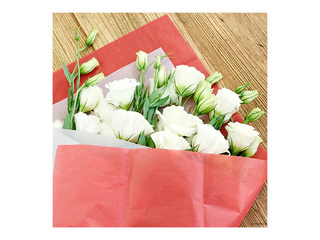 Dekoratiivne siidpaber, punane, 15g/m², 50x65cm, 10 lehte