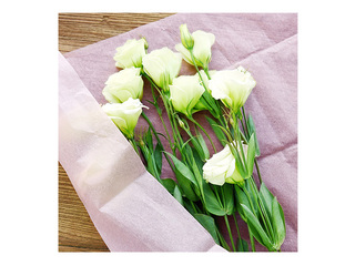 Zīdpapīrs dekoratīvais, rozā, 15g/m², 50x65cm, 10 loksnes