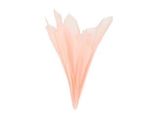 Dekoratiivne pakkepaber, virsikuvärvi, 15g/m², 50x65cm, 10 lehte