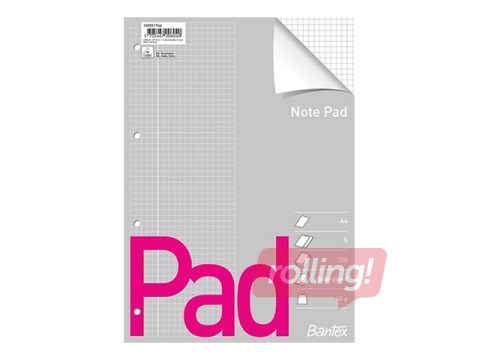 Standard pad Bantex, A4, squared, punched, 100 sheets