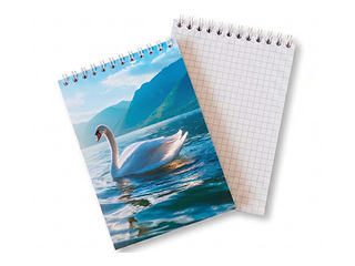 Notebook A6 with spiral binding, squared, 80 sheets, No.1