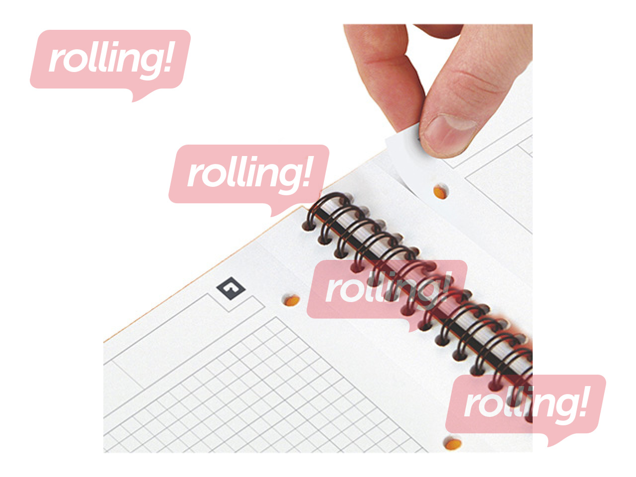 Spiral notebook with perforated Oxford A4 + format, squared, 80 pages