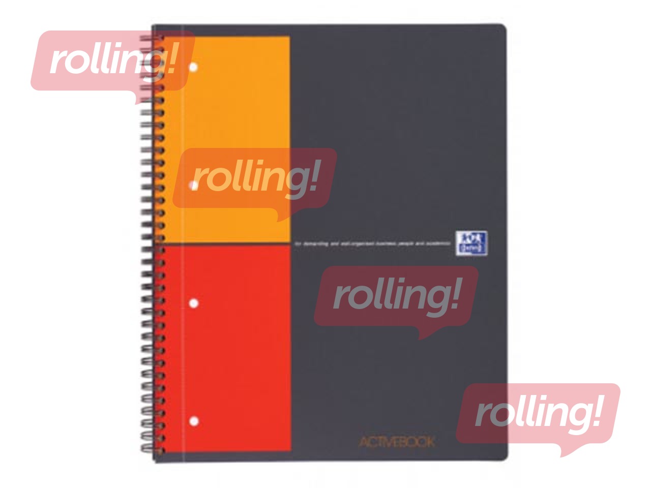 Oxford International ActiveBook, A4+, 80 squared sheets