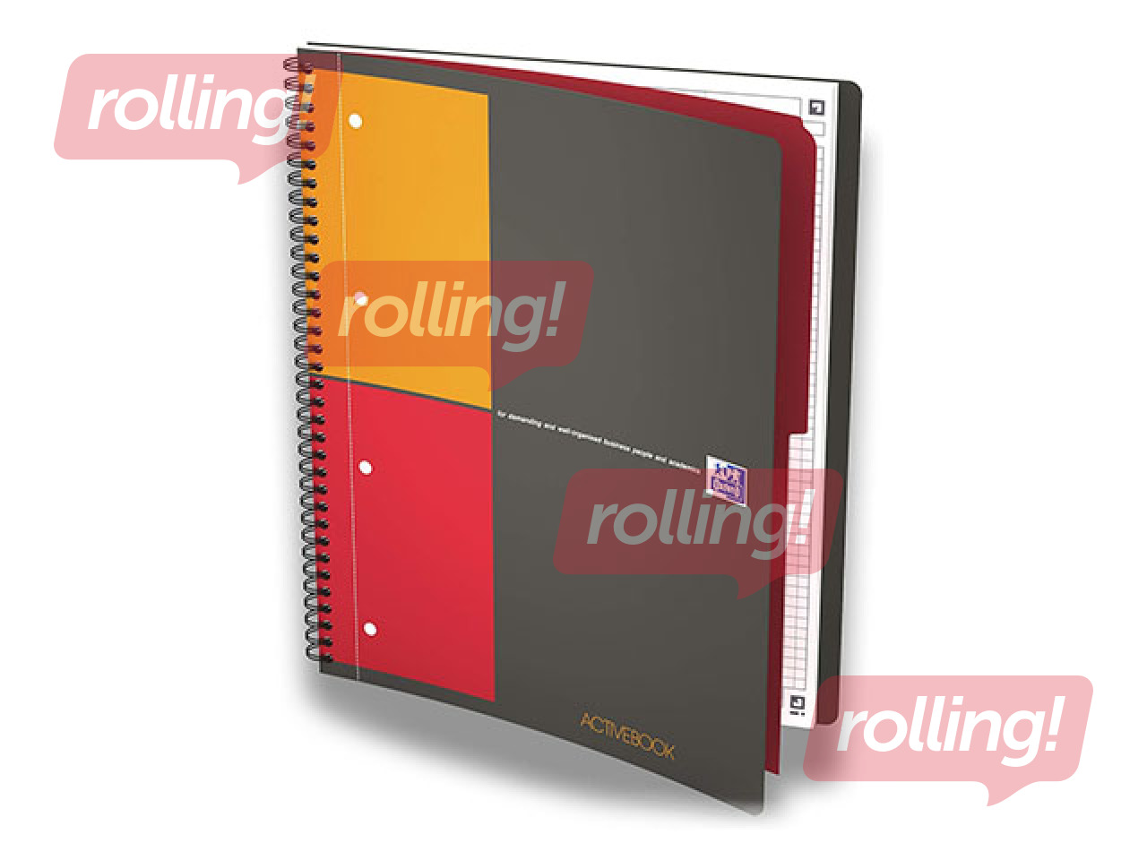 Oxford International ActiveBook, A4+, 80 squared sheets