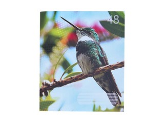 Kaustik  ABC Note Book, A5, lehekülge, 48 lehte