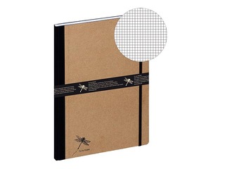 Kaustik Pagna Pur, A4, ruuduline, 160 lehekülgi