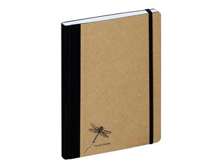 Kaustik Pagna Pur, A5, ruuduline, 160 lehekülgi