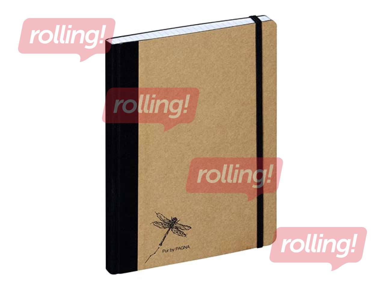 Kaustik Pagna Pur, A5, ruuduline, 160 lehekülgi