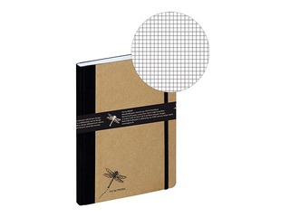 Kaustik Pagna Pur, A5, ruuduline, 160 lehekülgi