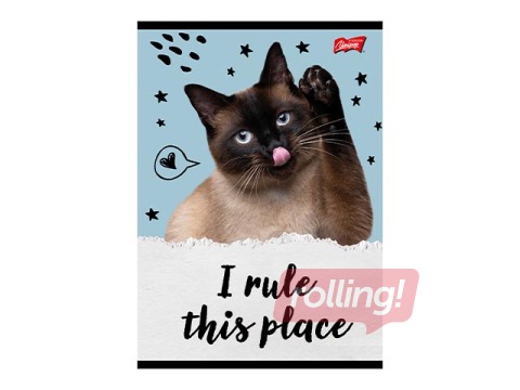 Тетрадь Unipap, Caturday, в клетку, A5, 32 листа