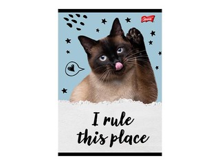Тетрадь Unipap, Caturday, в клетку, A5, 32 листа