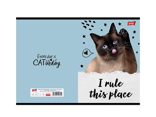 Тетрадь Unipap, Caturday, в клетку, A5, 32 листа