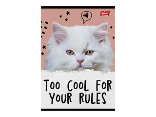 Тетрадь Unipap, Caturday, в клетку, A5, 32 листа