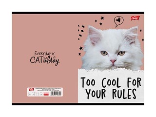 Тетрадь Unipap, Caturday, в клетку, A5, 32 листа
