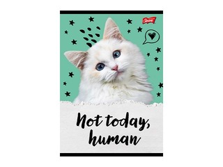 Тетрадь Unipap, Caturday, в клетку, A5, 32 листа