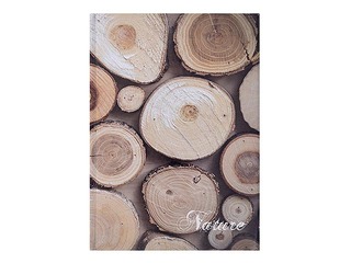 Notebook with rigid covers, A5, lined, various designs, 96 pages