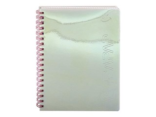 Spiraaliga märkmik Astra, A5, ruuduline, holograafilised värvid, 100 lehte