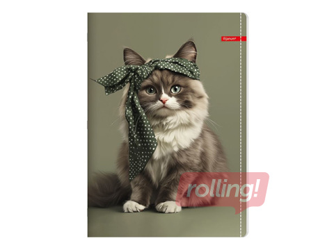 Kaustik Centrum, Grey Cat, ruuduline, A4, 52 lehte