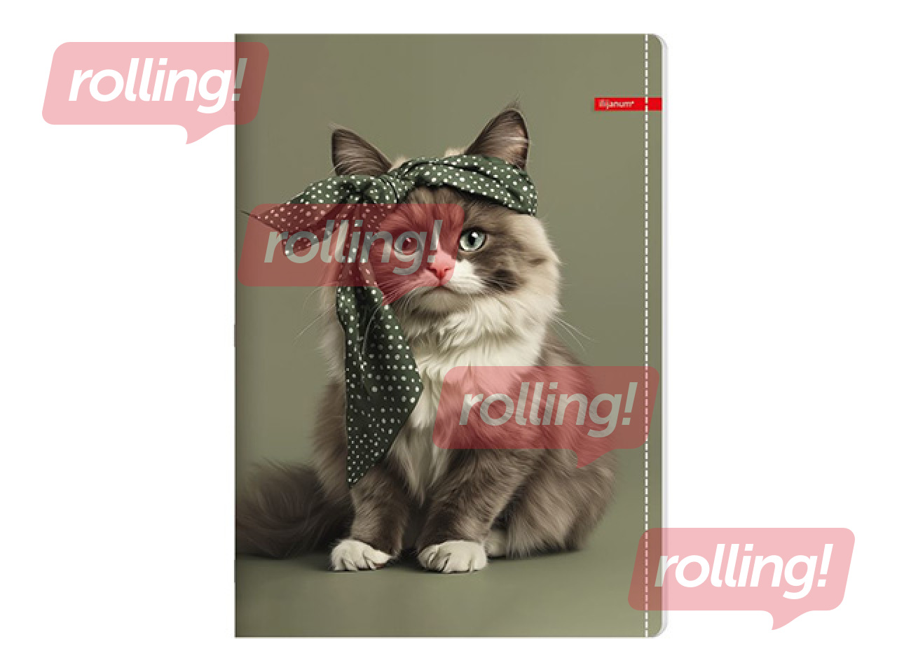 Notebook Centrum Grey Cat, squared, A4, 52 sheets