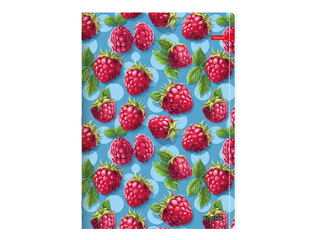 Kaustik Centrum, Raspberry, jooneline, A4, 52 lehte