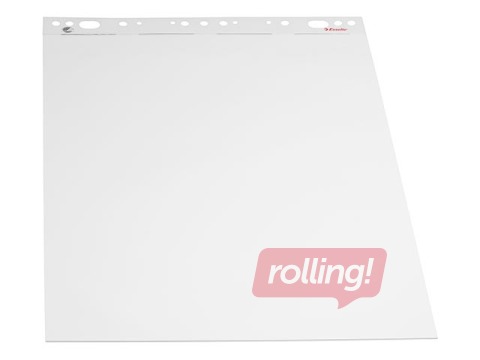 Loengutahvli paber Esselte, valge, 60x85cm, 50 lehte