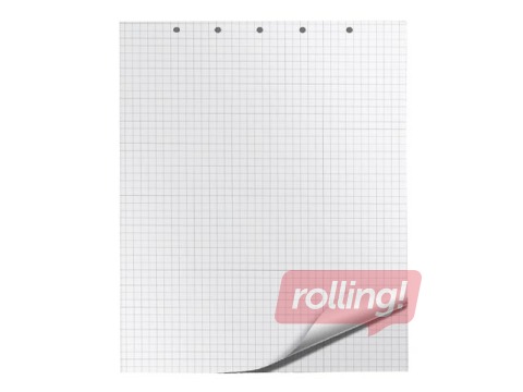 Paberiplokk Q-CONNECT, ruuduline, 65x100cm, 20 lehte